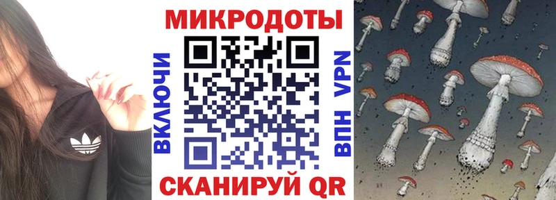 Псилоцибиновые грибы Psilocybine cubensis как найти закладки Ершов
