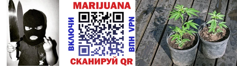 Бошки марихуана сатива  сколько стоит  мега сайт  Ершов 